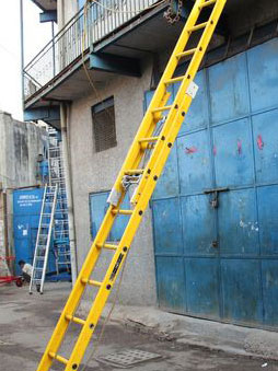 Wall Supported Extension Total FRP Ladder